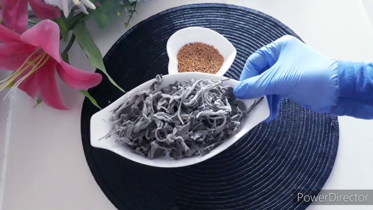 HORMONESKA CALEENTIII WAIMADAY AXBAABII