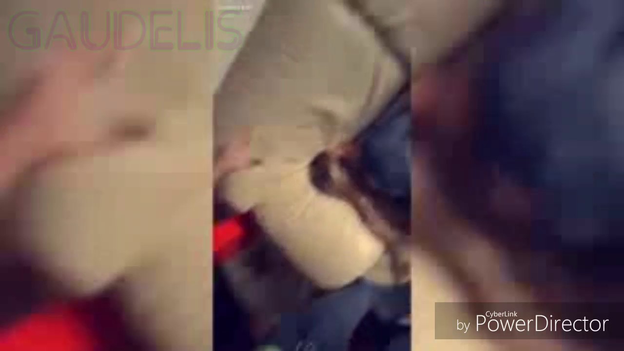 RIE CON LAS BROMAS DE Corina y Gustavo -Sheryl y Lasso (NOVIOS)