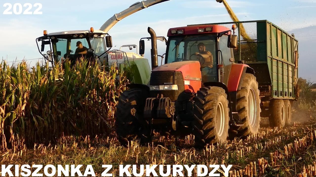 ☆Polna Zadyma☆Kiszonka z Kukurydzy☆FHU DADZIBÓG☆2022☆