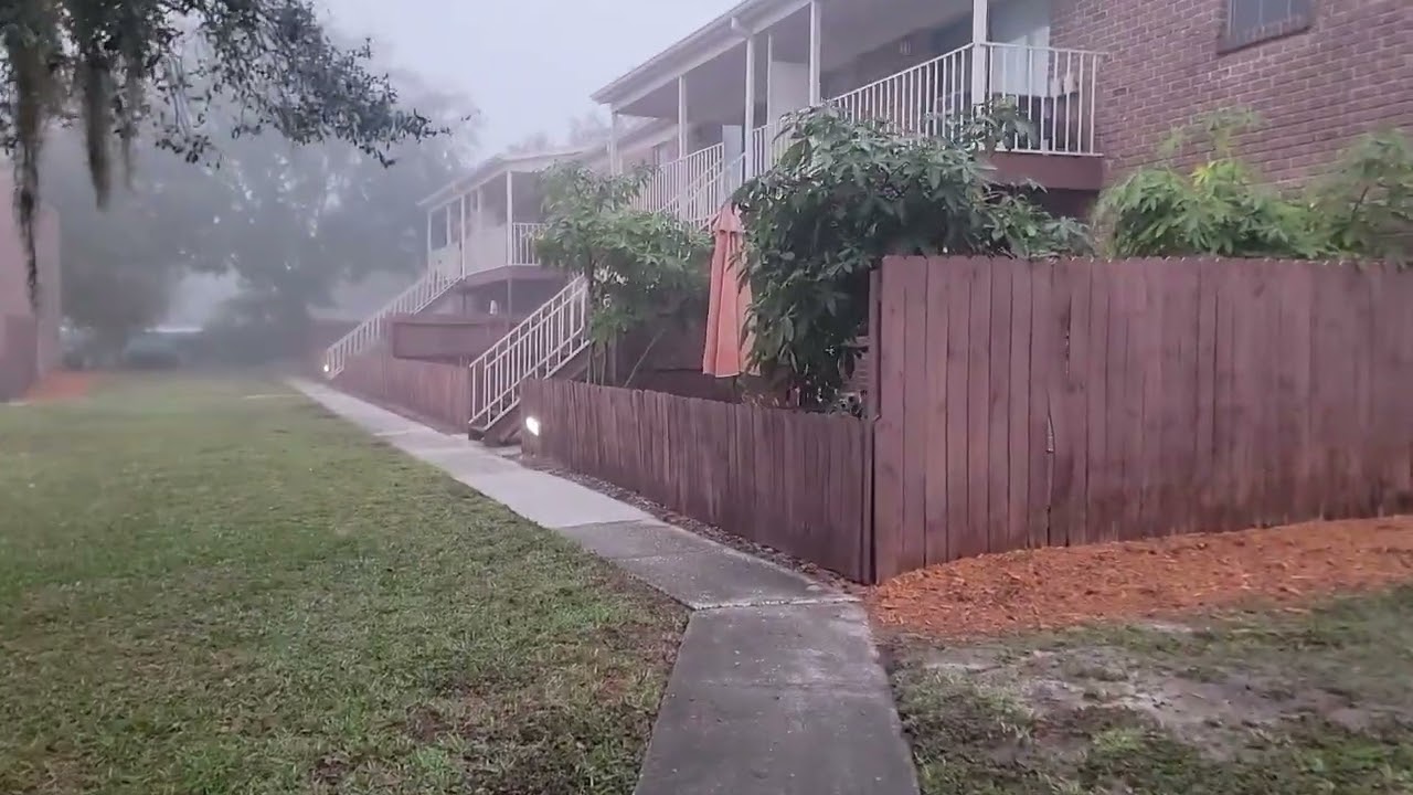 Day 7 of 365 videos - A foggy morning