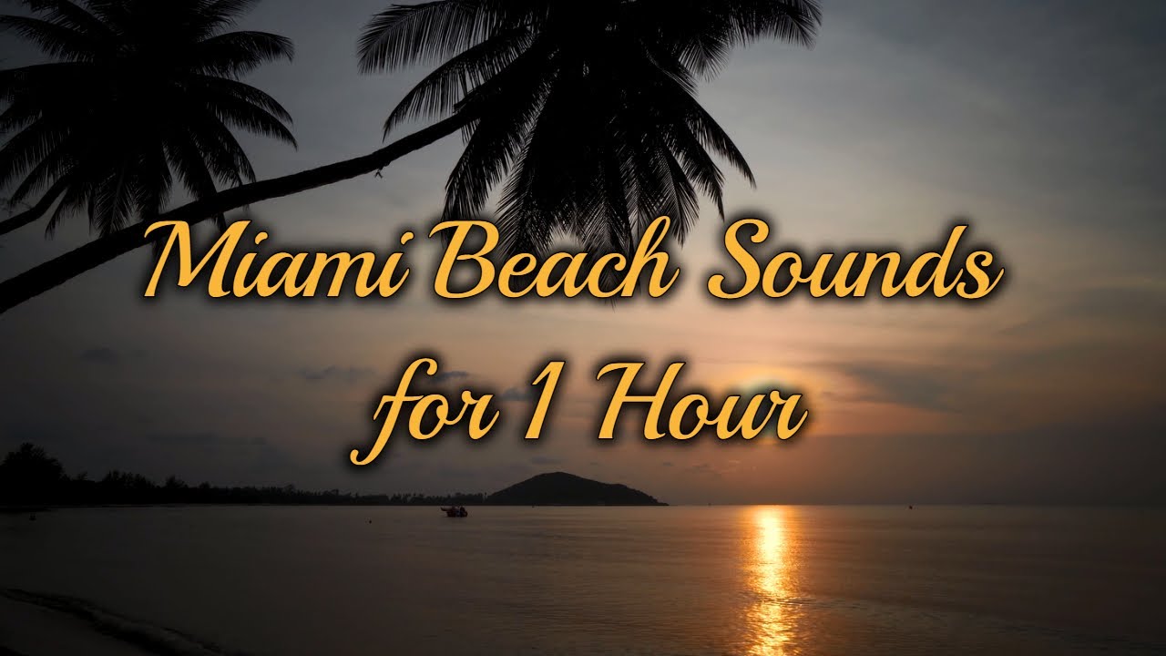 1 Hour of Miami Beach Wave Sounds for Sleep & Relaxation | Miami Waves