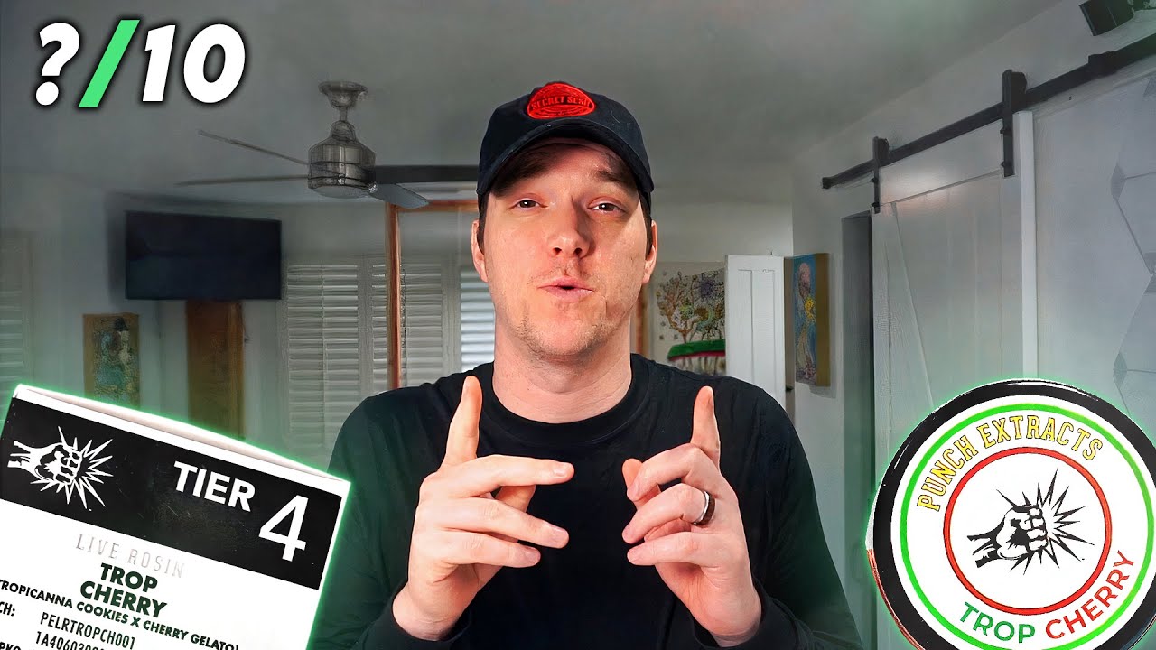 The Best $30 Gram of ROSIN??? One Dab Review: Punch Extracts Live Hash Rosin Trop Cherry