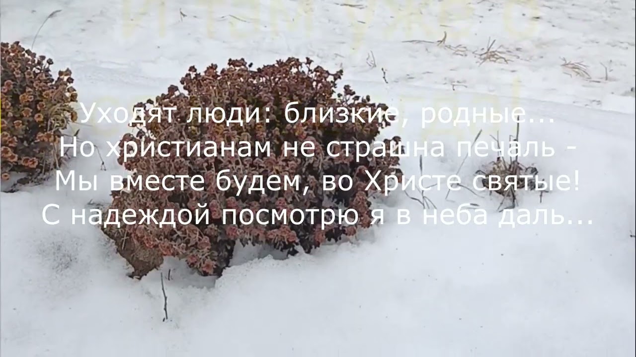 С надеждой в небо