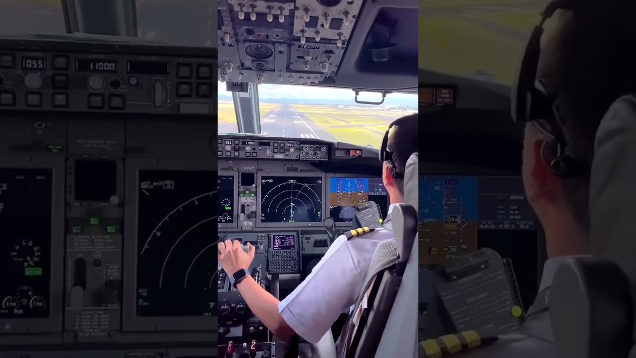 Boeing 737 Max Landing  - Cockpit View 