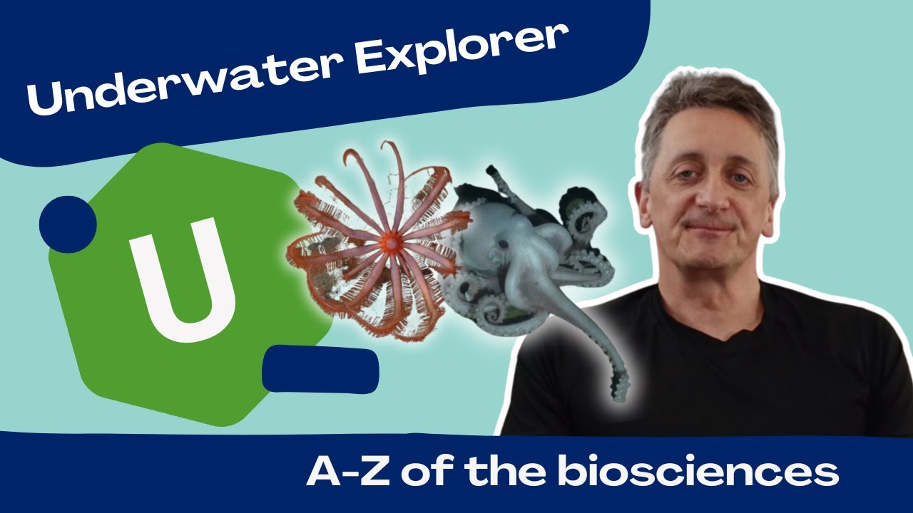 Letter U | Underwater Explorer Jon Copley | A to Z of the Biosciences