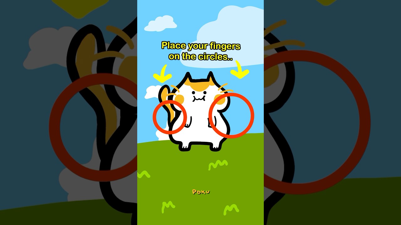 LET'S SPIN AROUND 🐱💫 #poku #cat  #funny #animation