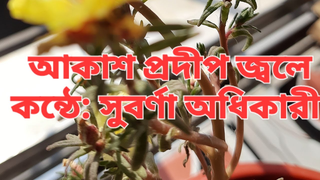 Akash pradeep jwale cover by subarna original singer Lata Mangeshkar 