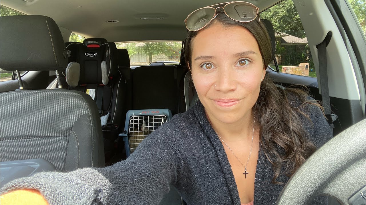 My dream of the Mark