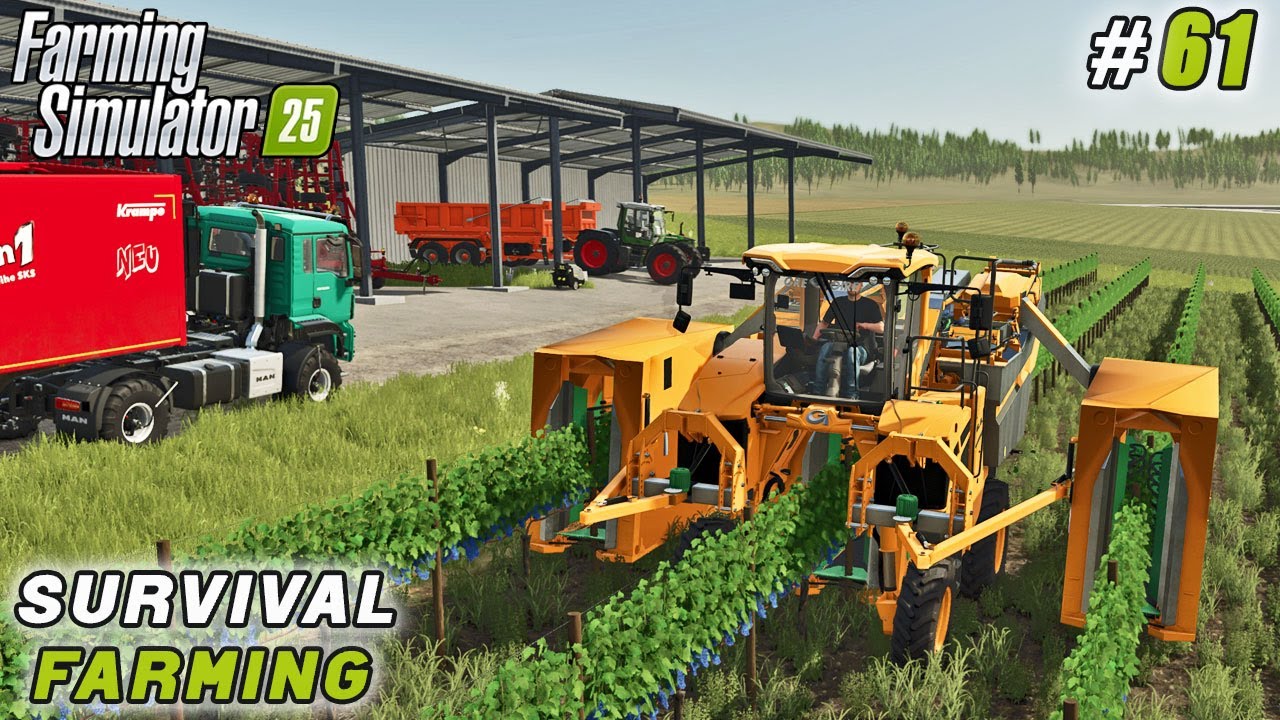 Fertilized Fields, Harvested Vineyard, and Still Had Time to Sell! | Survival Farming | FS 25 | #61