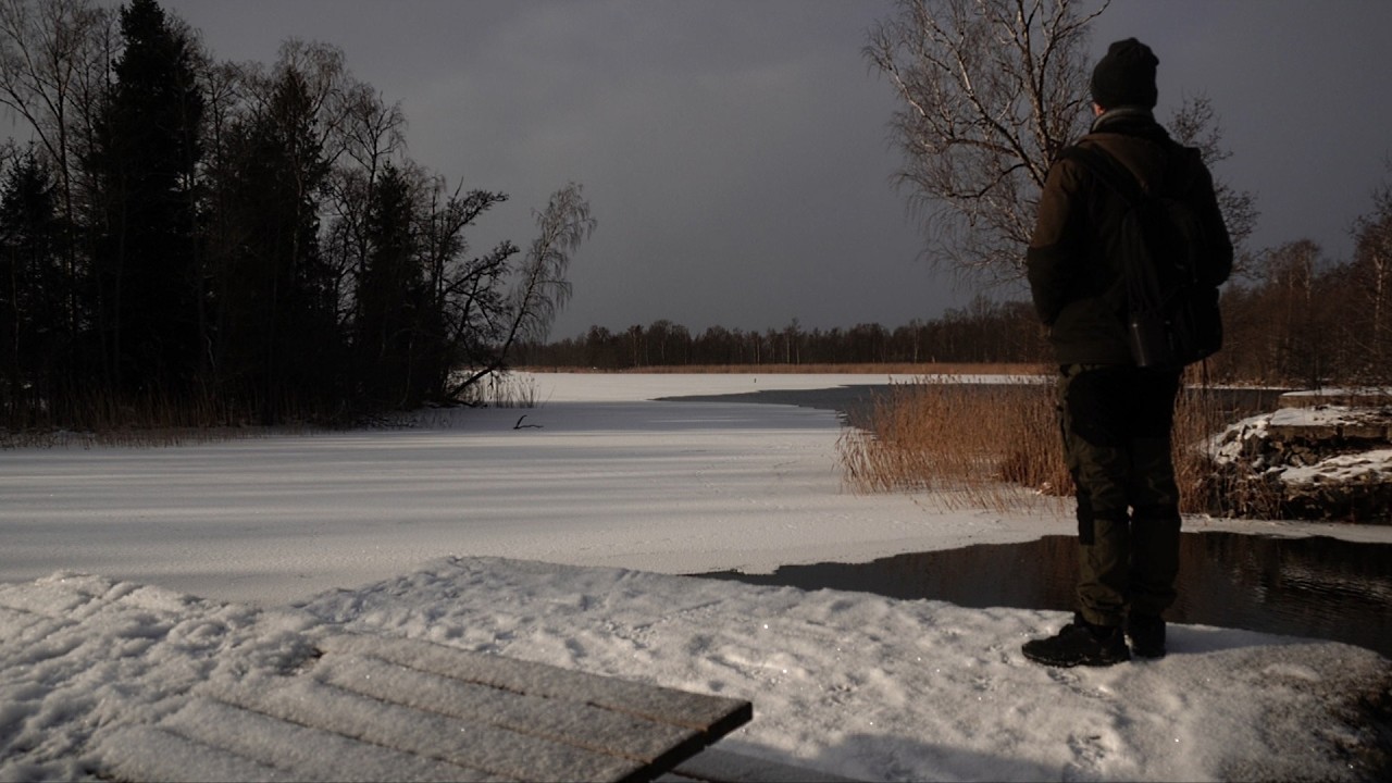 Hedlandet Nature Reserve, Sweden