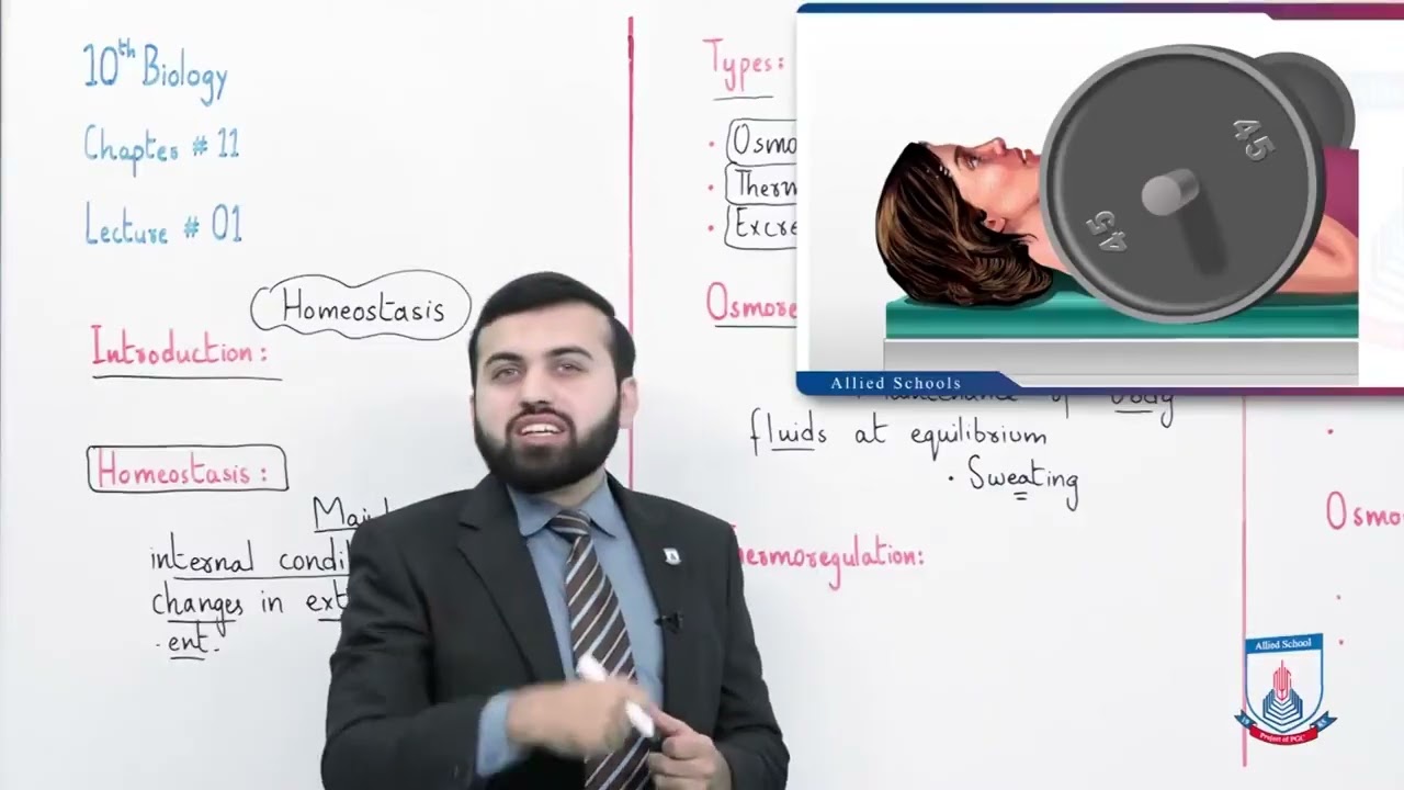 Class 10   Biology   Chapter 11   Lecture 1 Homeostasis in plants   Allied Schools