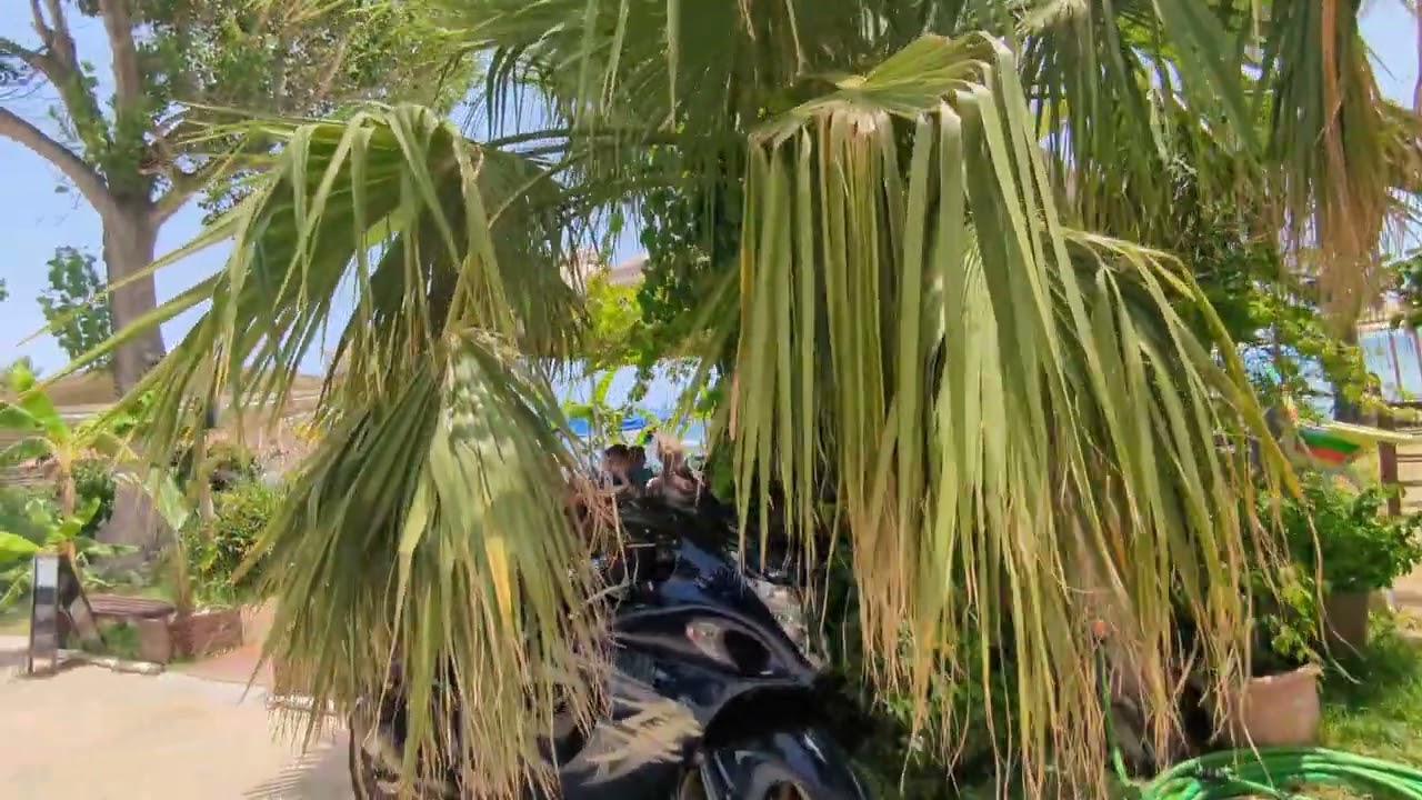 katelios village walkthrough