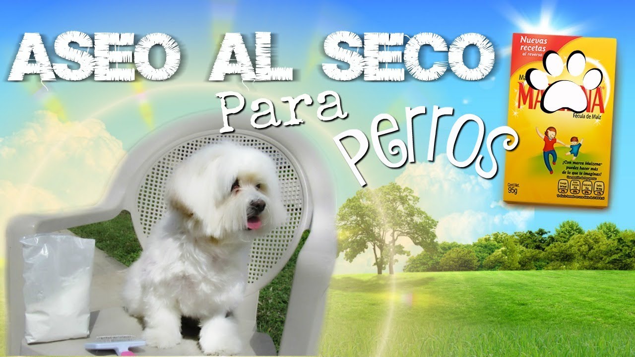 ASEO AL SECO para Perros, Pelo limpio, Brillante y Esponjoso I Lorentix