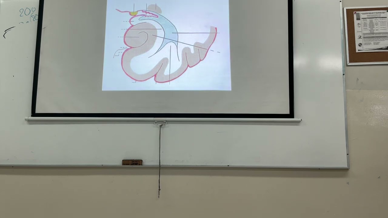 Clase 13 de febrero