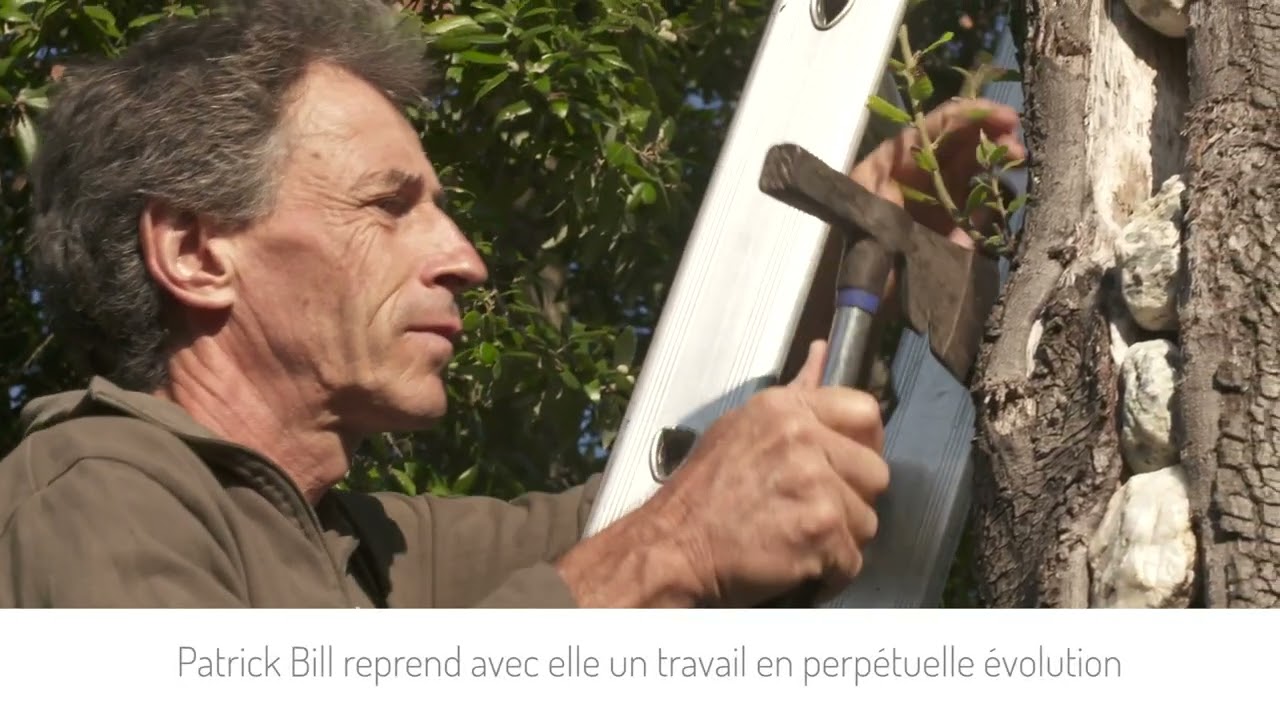 Vidéo Ferme Sorbelle