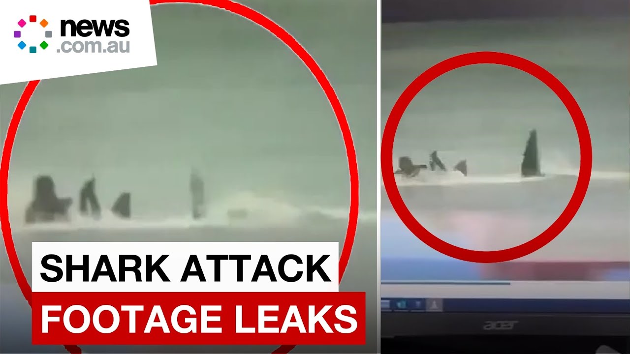 Chilling shark attack video leaks from police station