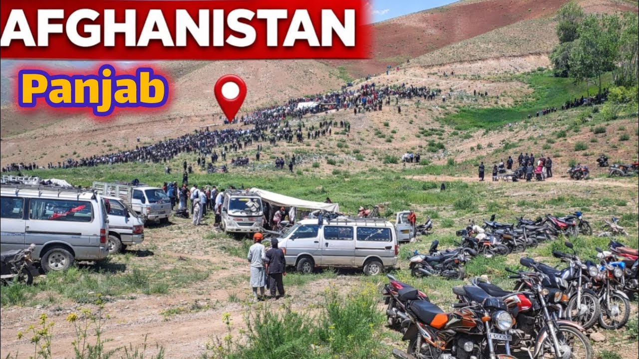 هزاران نفر در آرامگاه شیخ کربلایی قریه گلیسای!  | Thousands Gather at Sheikh Karbalai’s Shrine