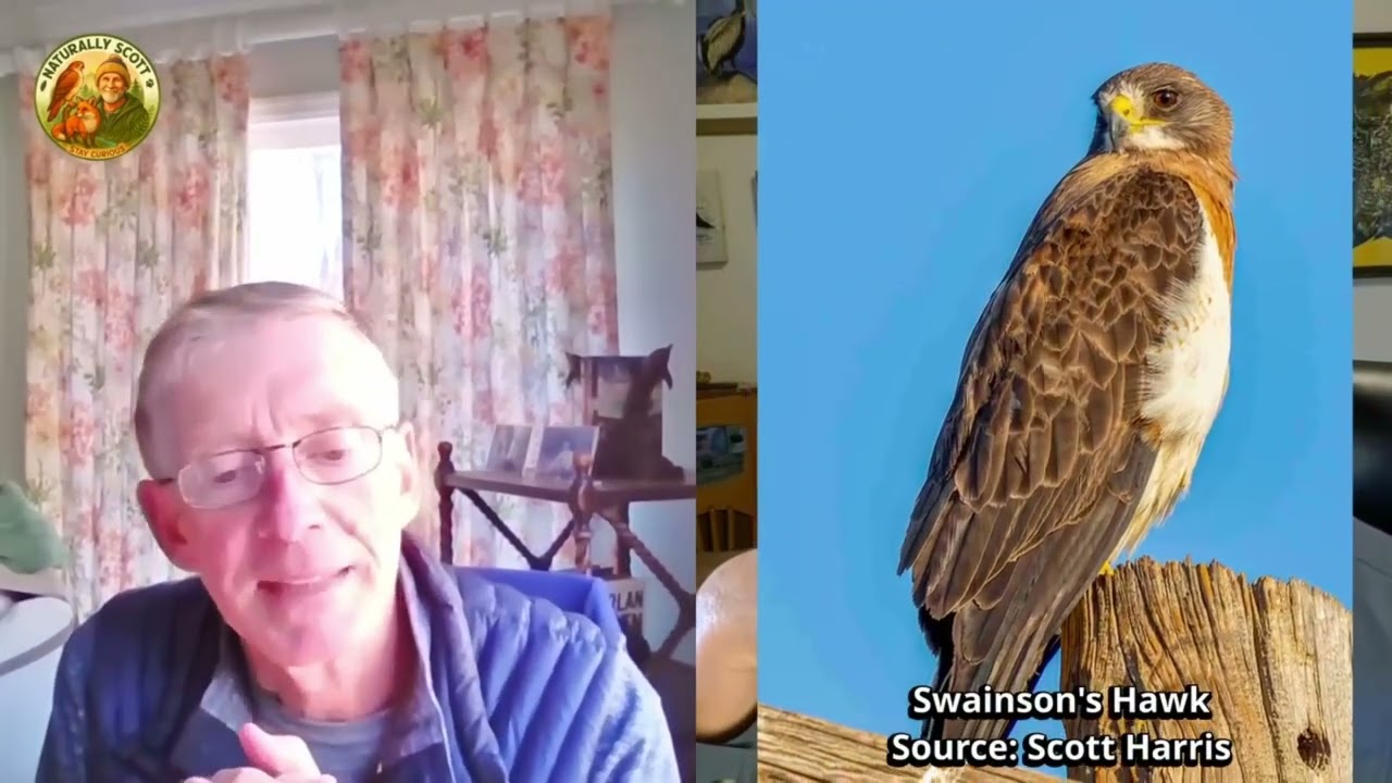 E47 — Peter Stangel: Managing Forests for People and Wildlife