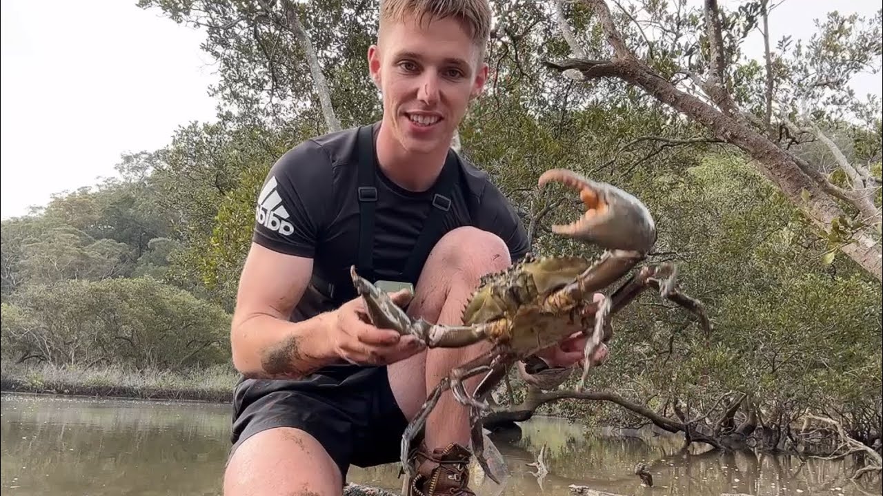 INSANE MUDCRAB CATCH IN THE MANGROVES (Sweet chilli catch and cook)