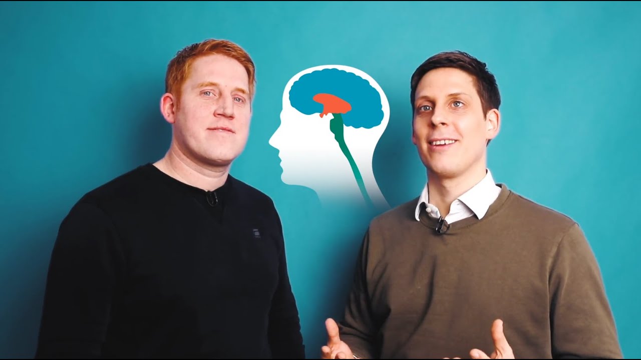 Das Gehirn und die Zeit