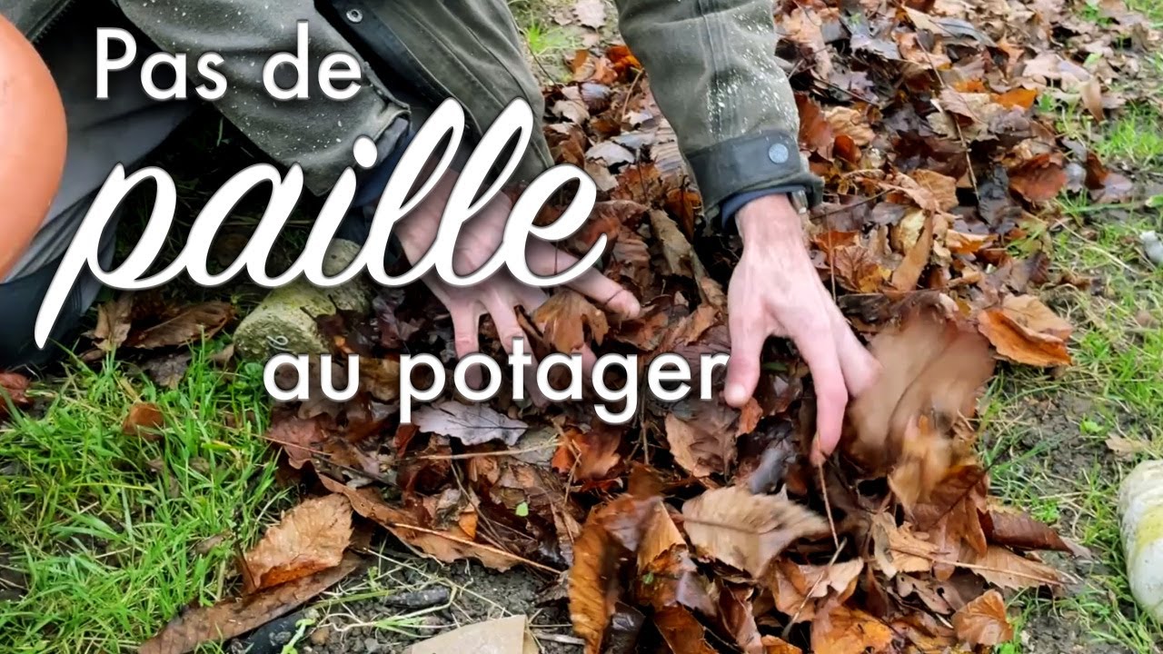 Pas de paille dans mon potager.