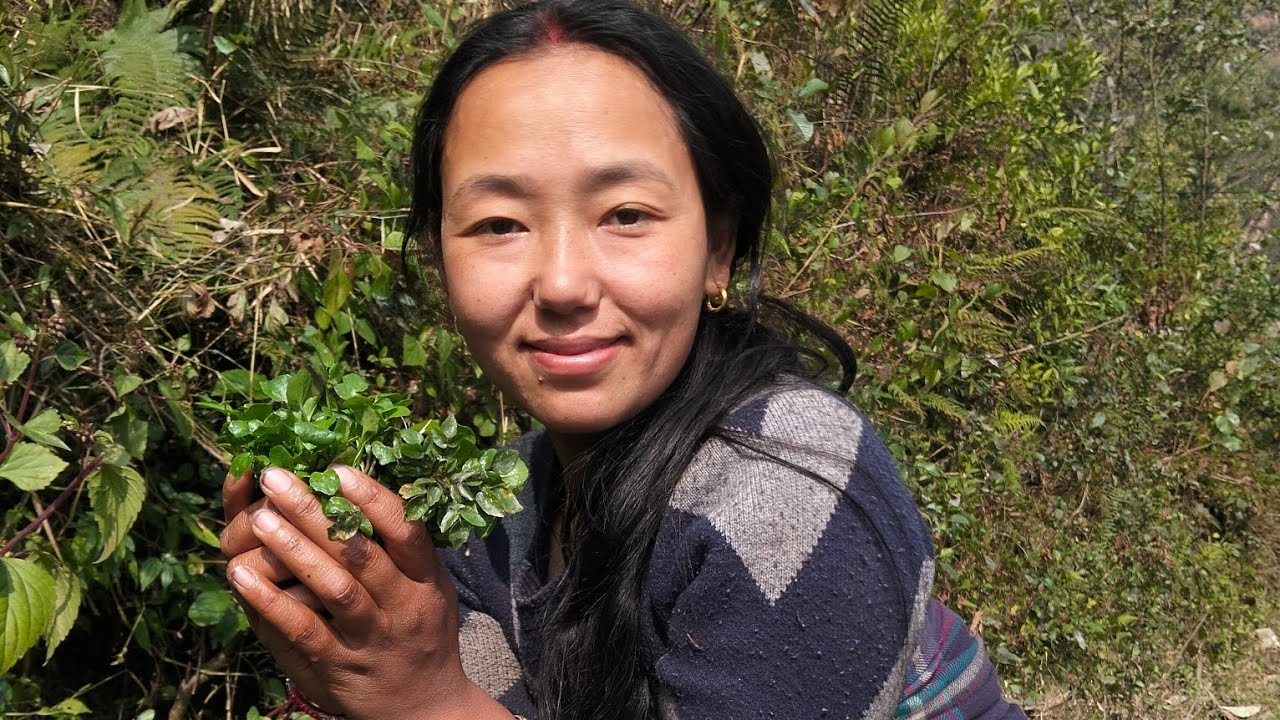 HOLI 🫟 KO DIN DAURAKO GOLI KHOJDAI VAUJU NANDA🤣!! SIME SAG #subscribe #support 