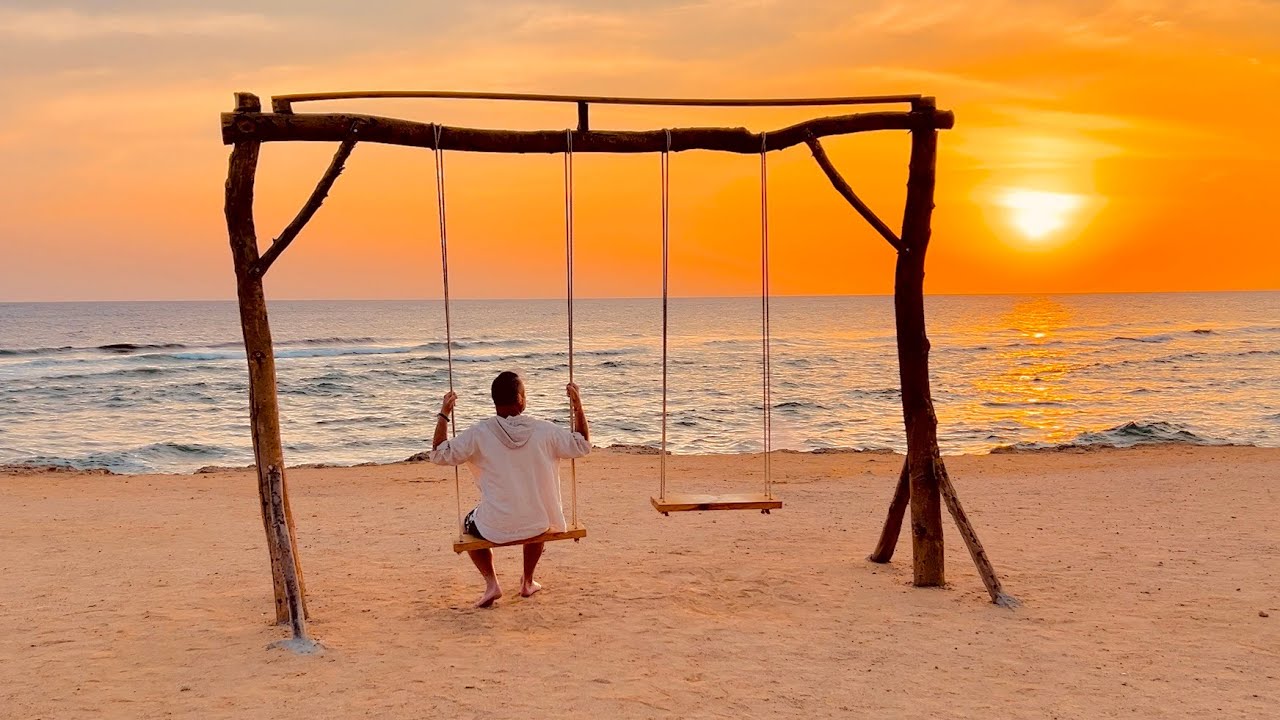 Pickalbatros, Port Ghalib, Egypt 11-18.01.2025   (4K)