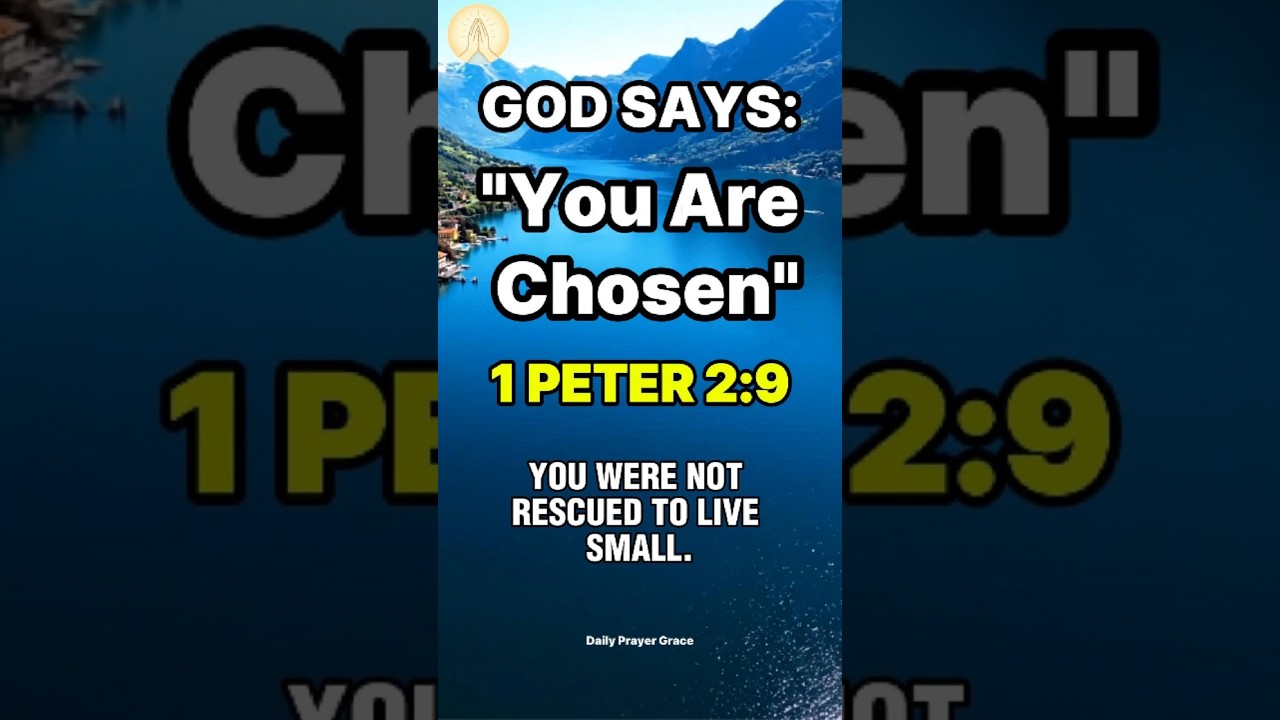 You Are Chosen | 1 Peter 2:9 #dailyprayer #shortprayer #godmessage #holyspirit #healingscriptures