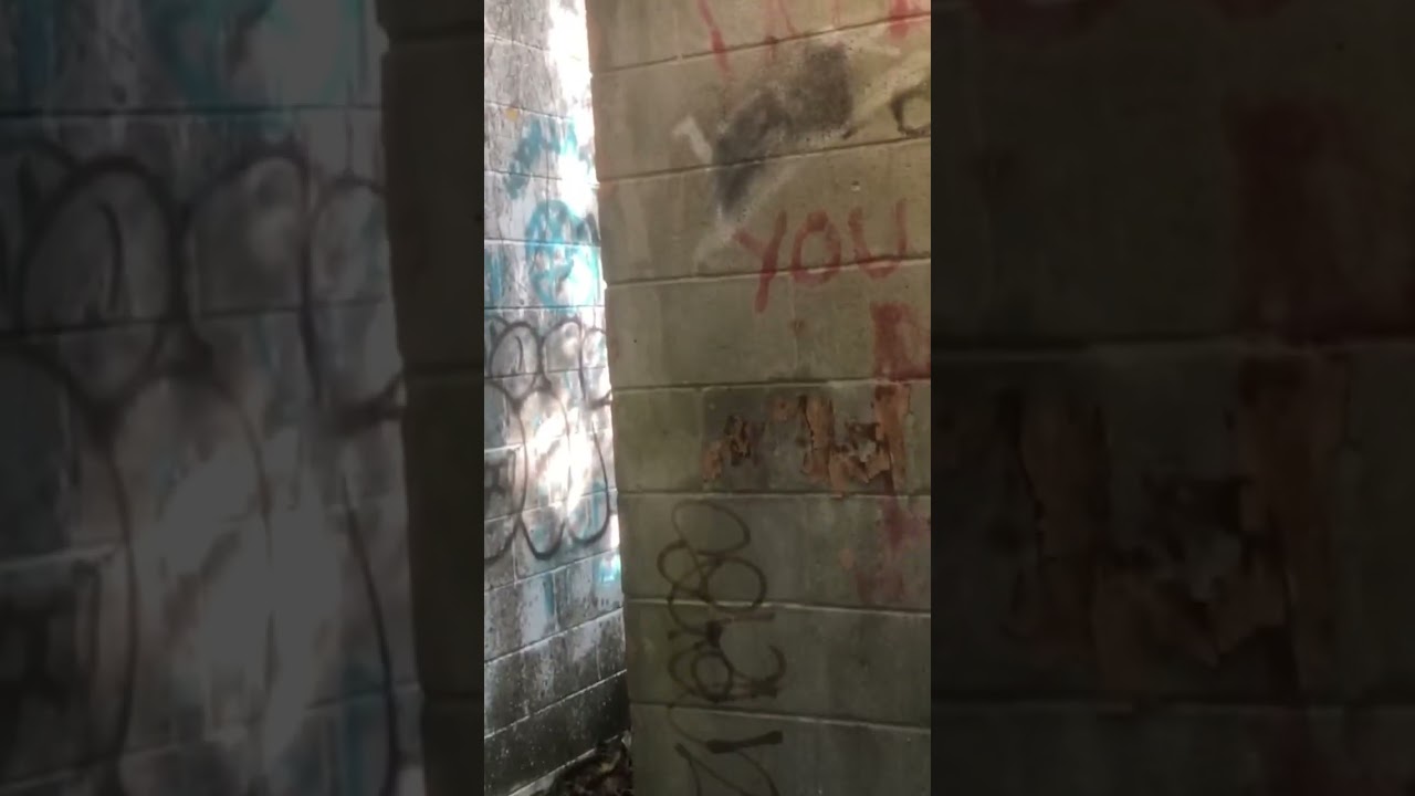 树林深处发现怪异建筑，这……是废弃的公厕？🤔