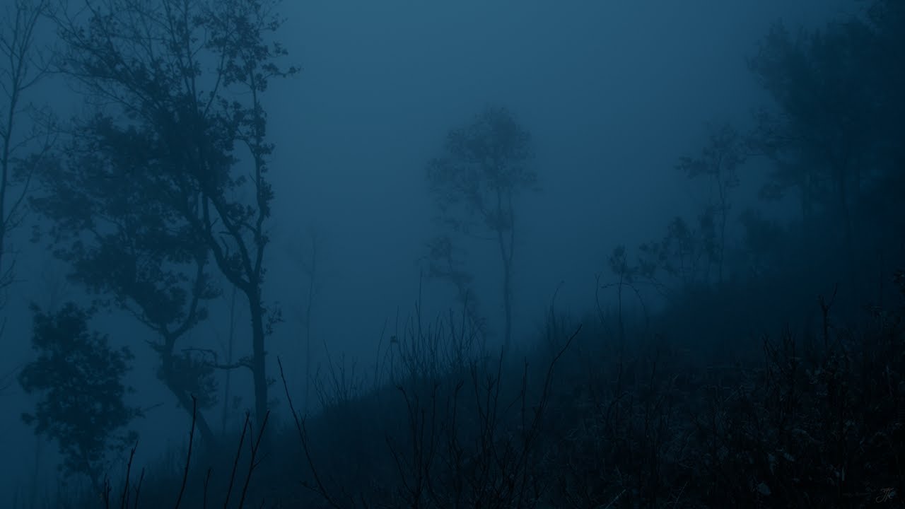 Mist and Fog | dark naturalism, foggy nature