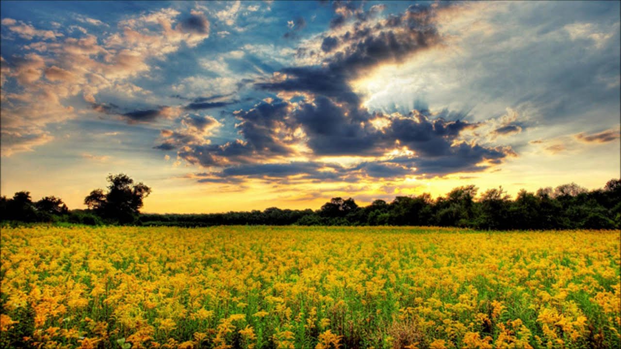 New Beauty Trance #2 (Progressive Trance)