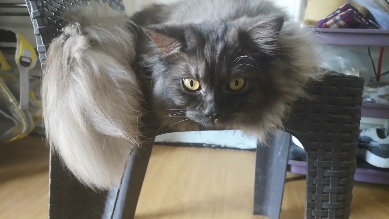 Yung antok ka meng pero iba Yung masarap ang tulog🤣😂 