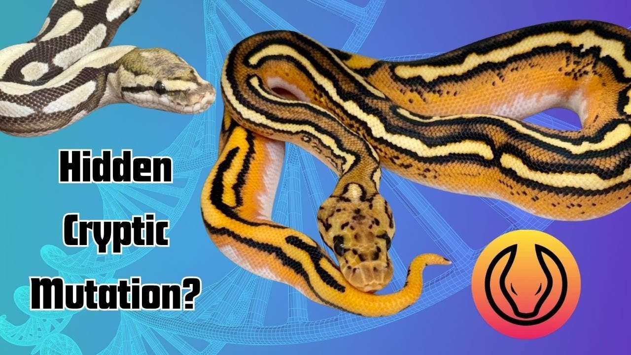 Генетическое тестирование обнаружило неожиданную загадочную мутацию! ...и что-то ещё? | RGW, выпу...