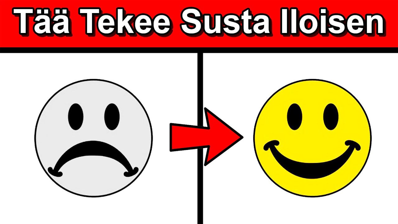 Tää Video Tekee Susta Iloisen! 😀