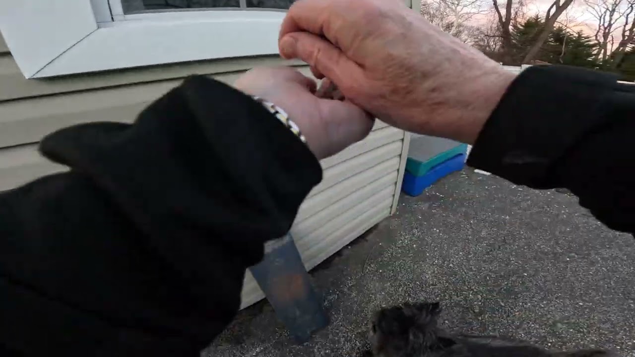 Bony Tony and Pooling Odor NW