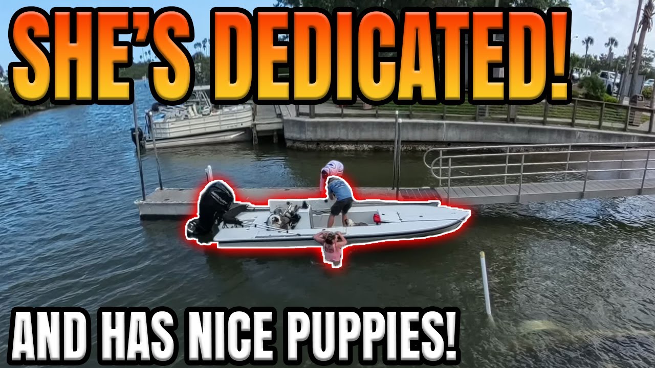 У неё славные щенки! Грузовик U-Haul заезжает на рампу!