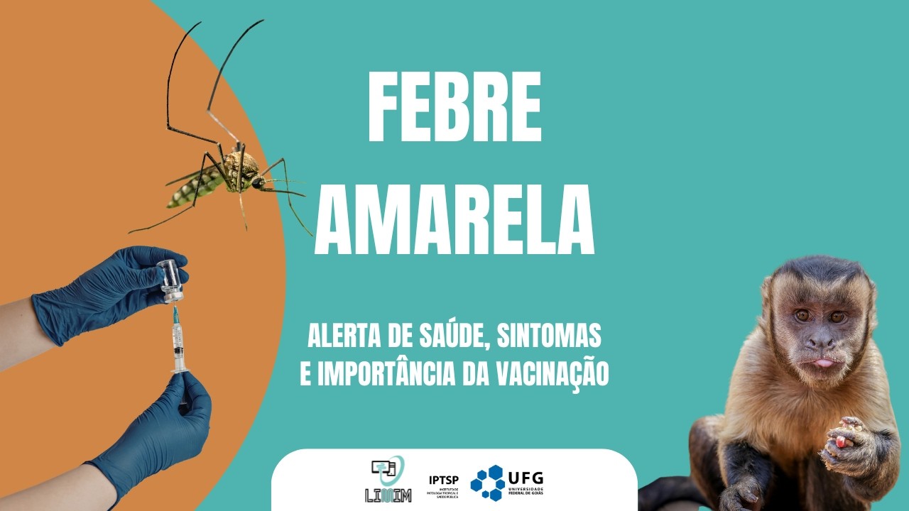 Febre Amarela: transmissão, sintomas e vacina