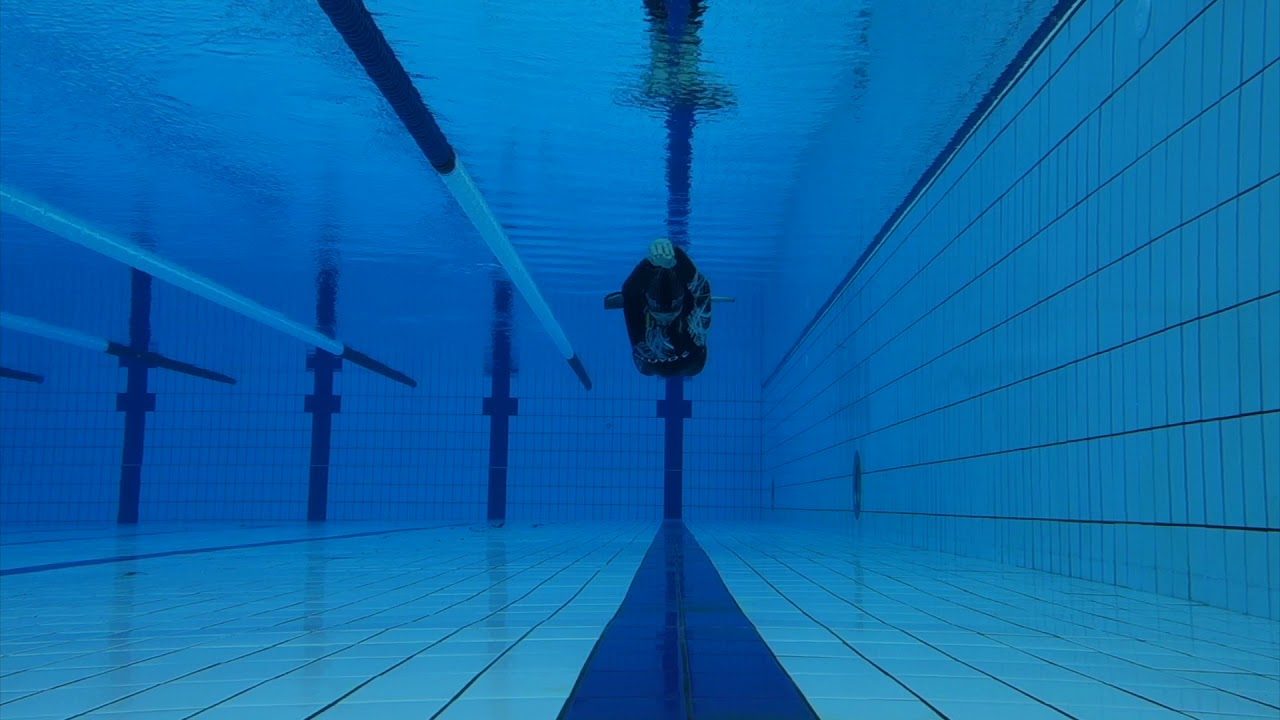 Revue technique monopalme apn&eacute;e Romain Hinfray