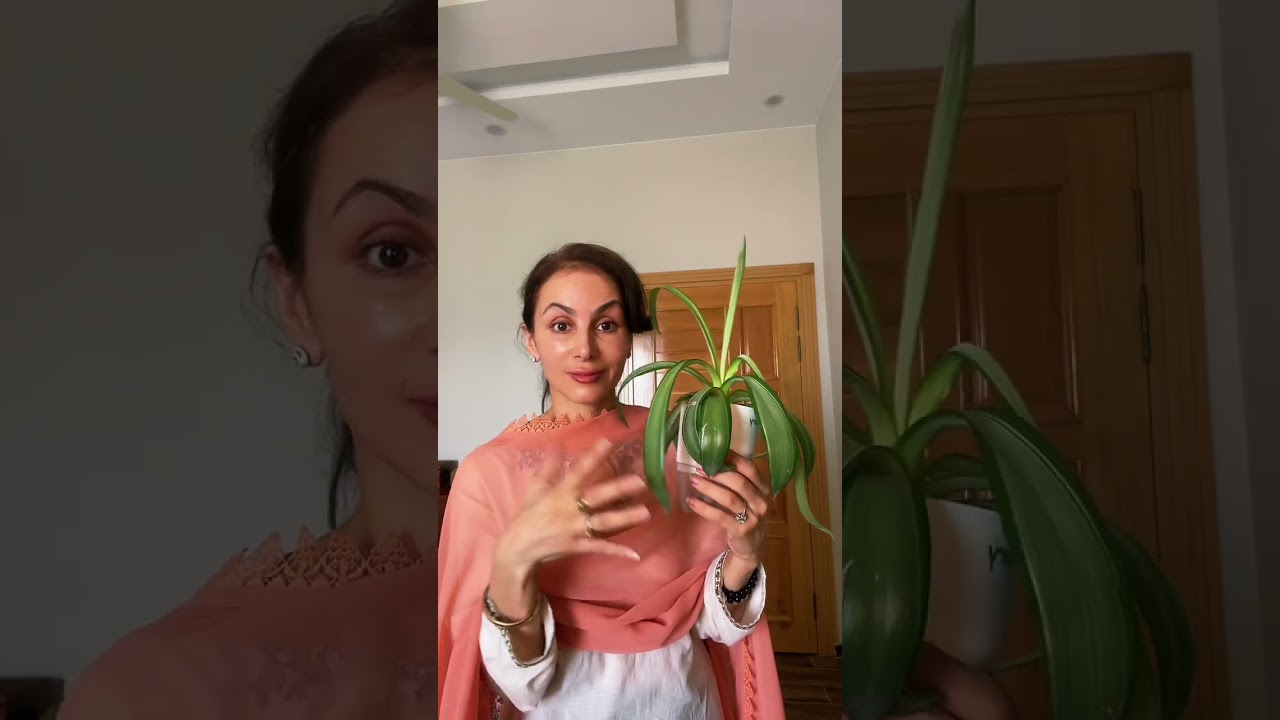 Put a Seed in Your Mouth Before Planting? Here&rsquo;s the Ancient DNA Hack #shorts #naturalhealing