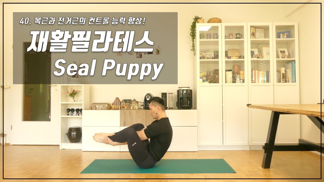 40. Seal Puppy / 복근과 전거근의 컨트롤 능력 향상을 위한 동작 [다시한번 필라테스]