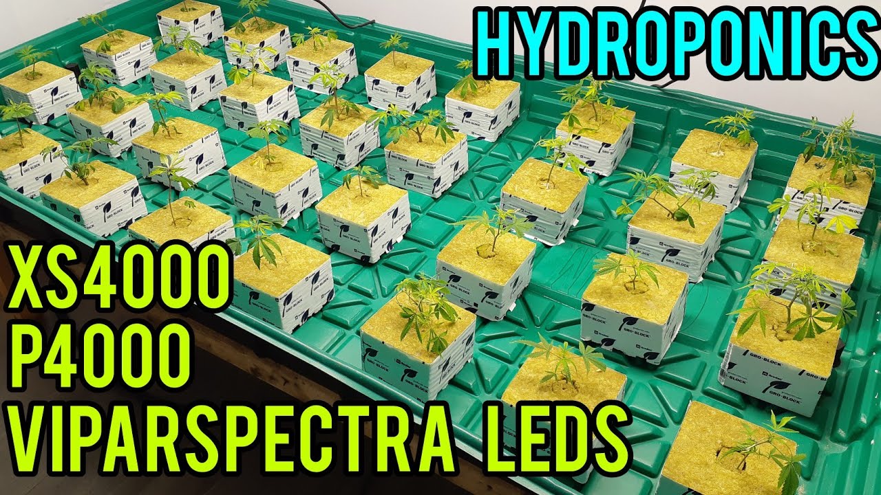 DOUBLE UNBOXING + HYDROPONIC GROW SETUP, VIPARSPECTRA LED GROW LIGHTS