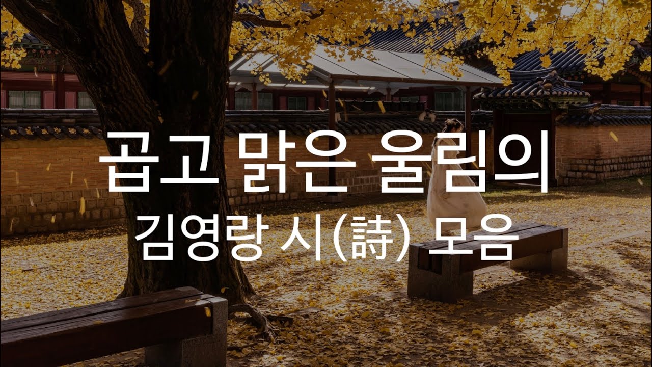 잠들기 전 20분, 마음을 맑게 가라앉히는 시간 _ 김영랑 시(詩) 모아 듣기
