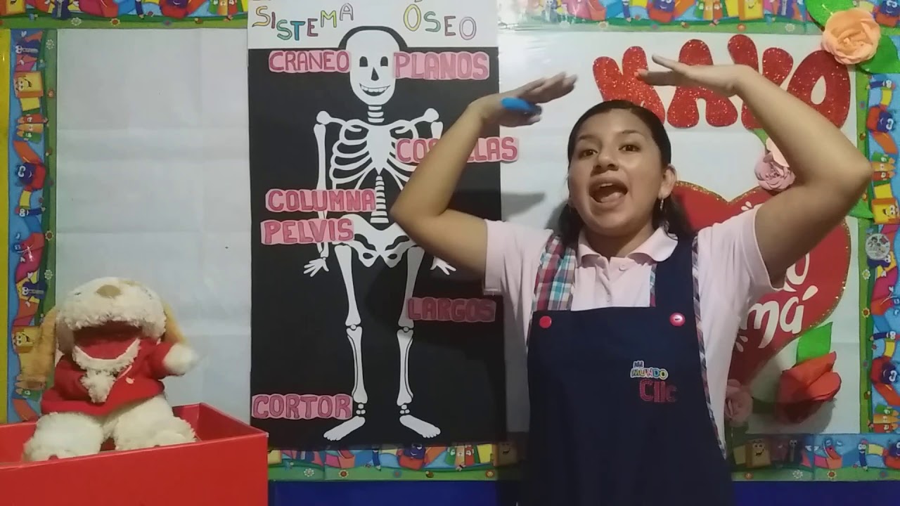 Sistema óseo _ Inicial 5 años ( ciencia )