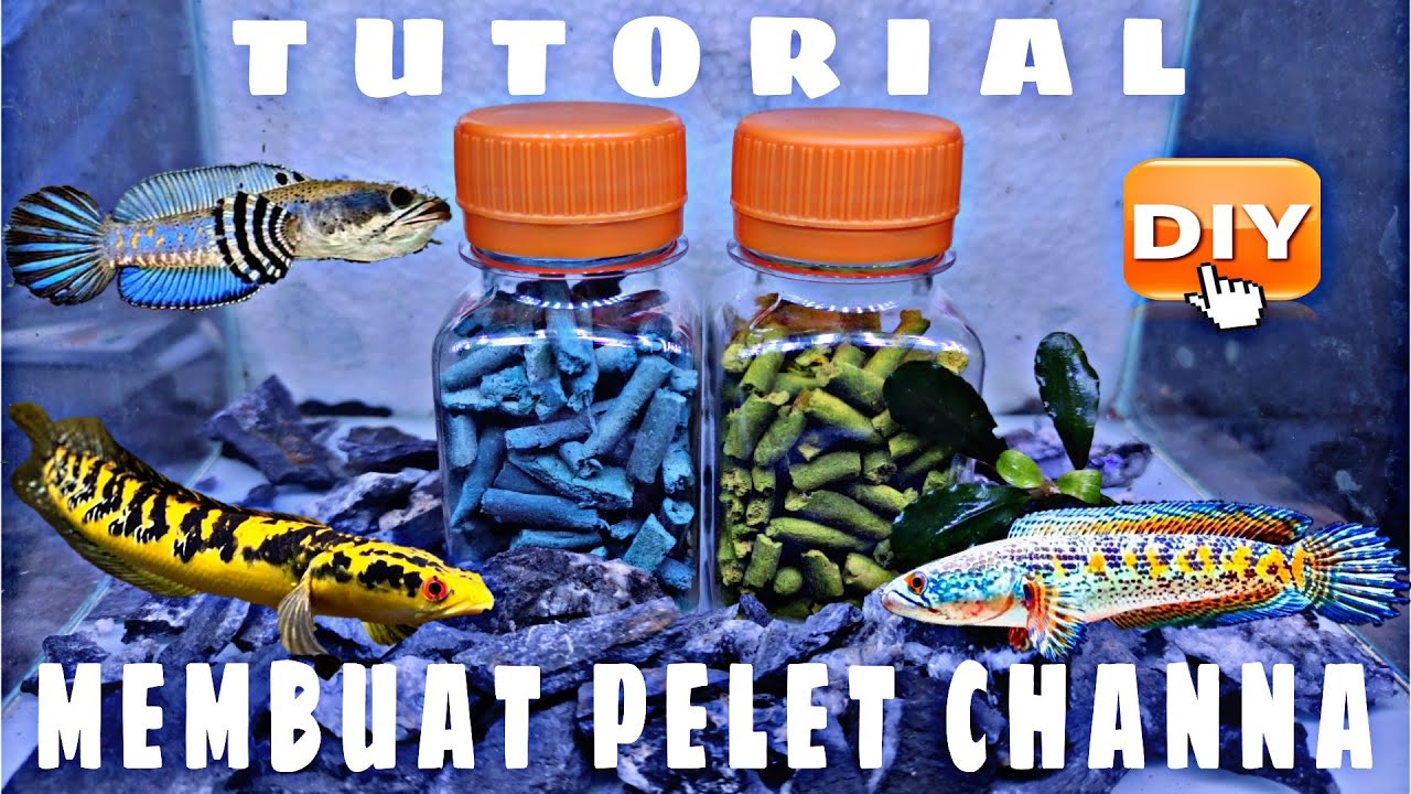 TUTORIAL MEMBUAT PELET CHANNA | DIY
