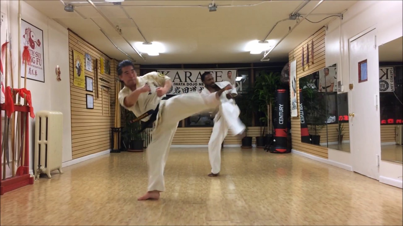 #51  Kata 5   Seienchin, Kanku, Koryu Gojushiho (a.k.a Tsushiho)