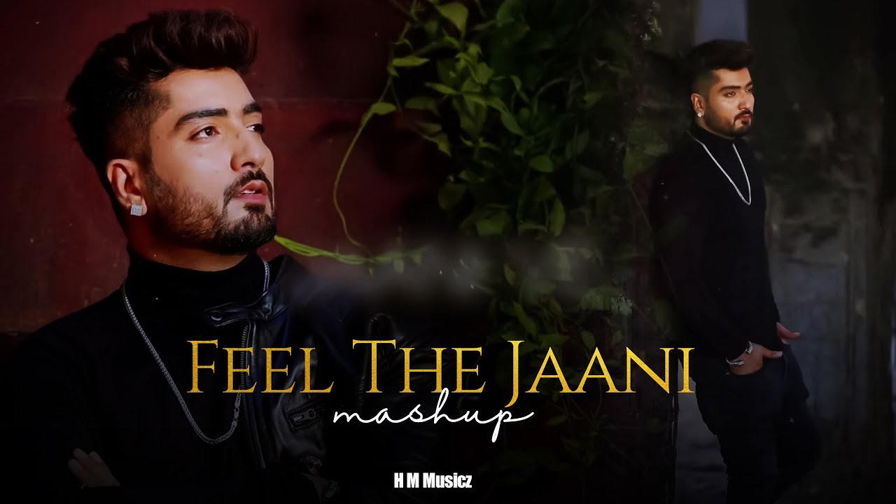 Feel The Jaani Mashup | Jaani | B Praak | Punjabi Sad Songs  H M Musicz