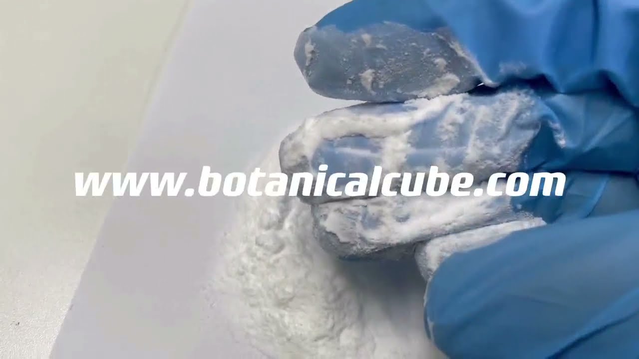 Stevia leaf extract by Botanical Cube Inc.