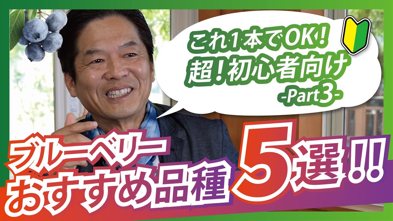 【必見】初心者向けブルーベリー品種ベスト5