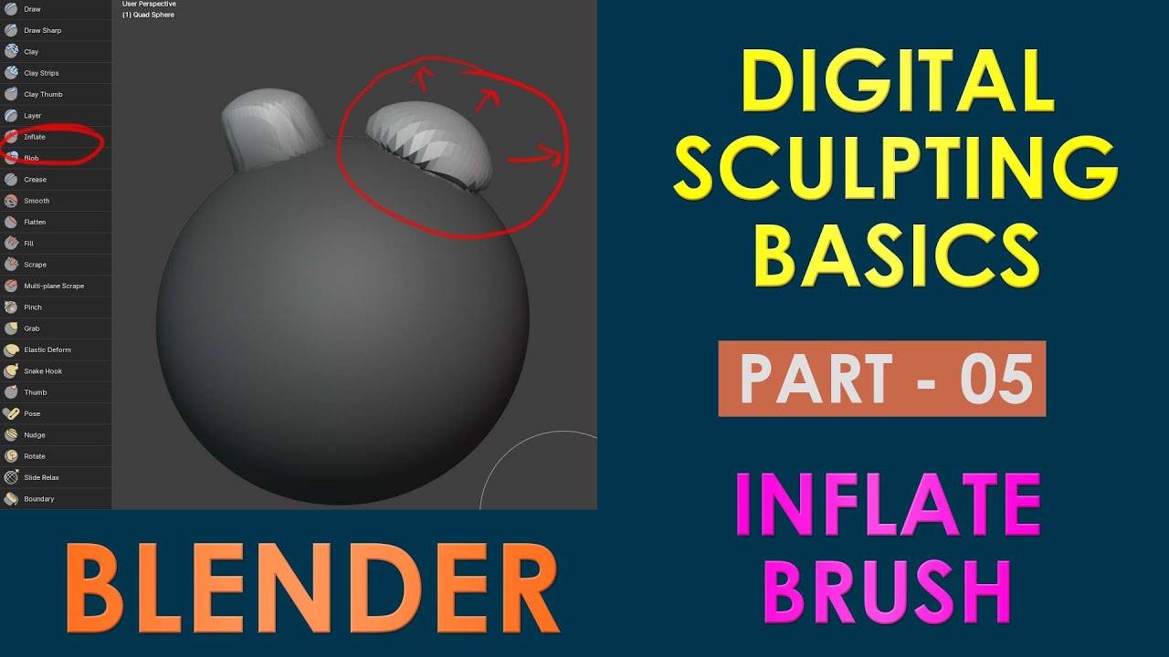 Digital Sculpting Basics Tutorial in Blender - Inflate Brush - Part 5