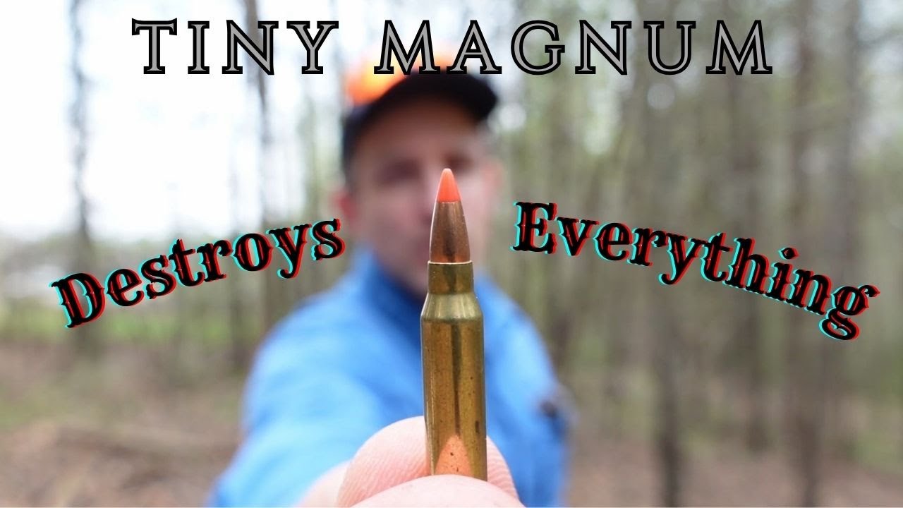 Маленький Магнум, который всё уничтожает — 17 WSM